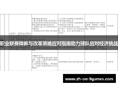 职业联赛降薪与改革策略应对指南助力球队应对经济挑战