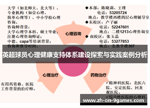 英超球员心理健康支持体系建设探索与实践案例分析